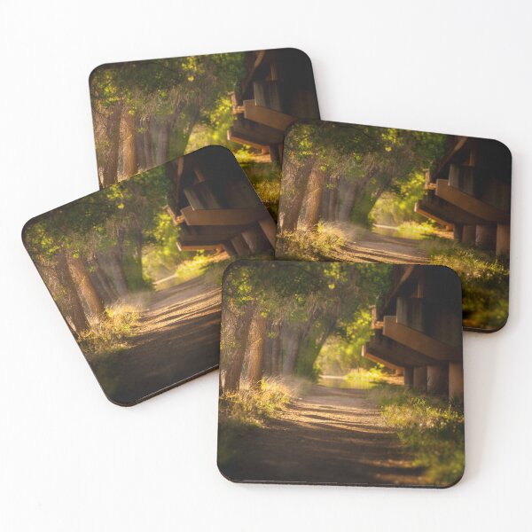 Item preview, Beautiful walking path designed and sold by LensMedia.