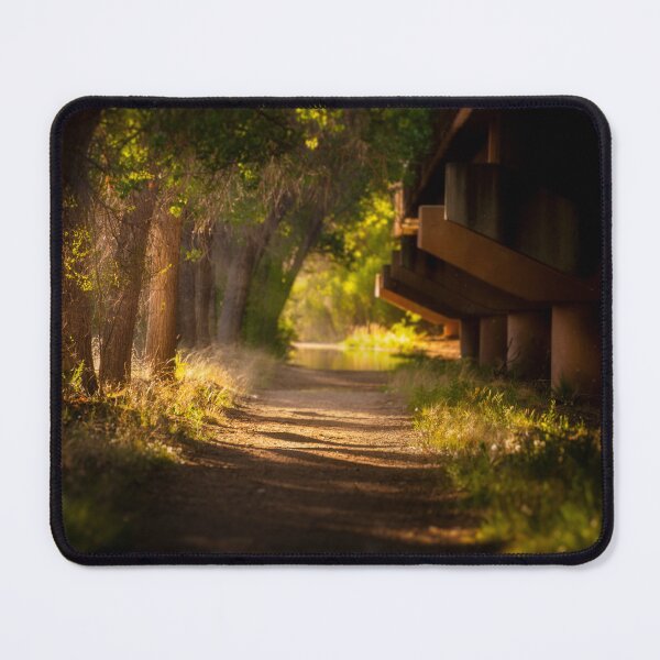 Item preview, Beautiful walking path designed and sold by LensMedia.