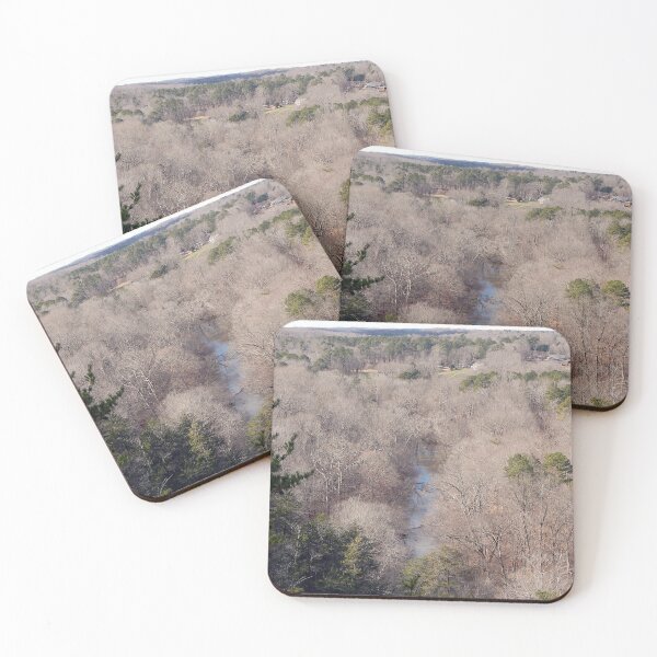 Item preview, Winter forest scene in North Carolina Piedmont designed and sold by gistinker.