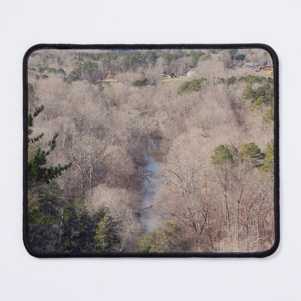 Item preview, Winter forest scene in North Carolina Piedmont designed and sold by gistinker.