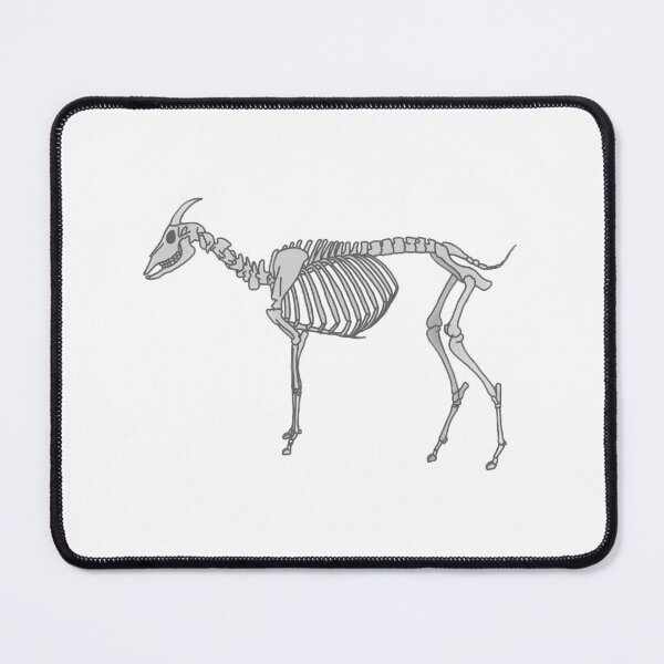 Item preview, Goat Anatomy designed and sold by katiek-franklin.