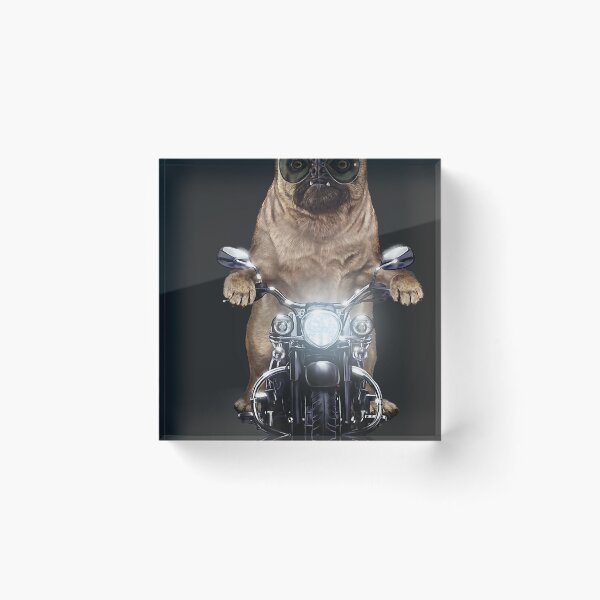 Item preview, Grumpy Pug In Aviator Sunglass Riding Motorcycle Dog  designed and sold by BrianBVercher.
