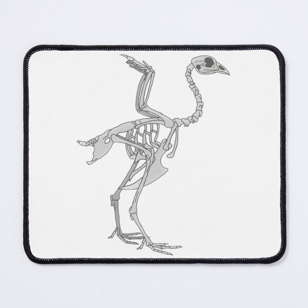 Item preview, Chicken Anatomy designed and sold by katiek-franklin.