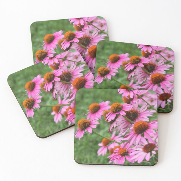 Item preview, Pink Coneflowers Photograph designed and sold by adriablack.