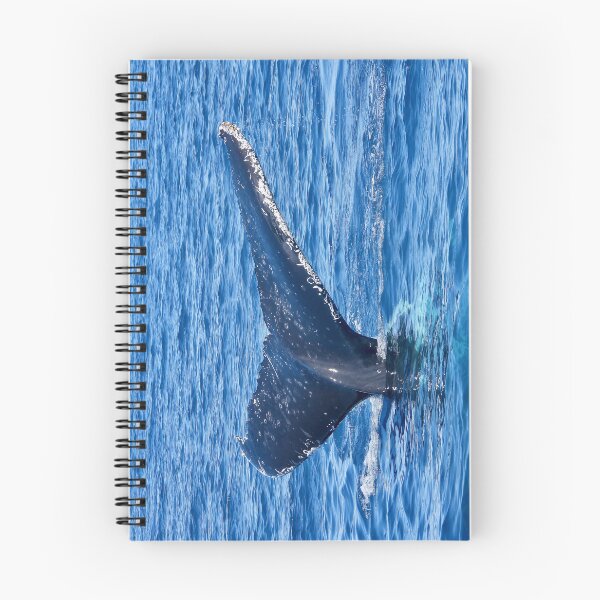 Item preview, Whale watching Hervey Bay tail designed and sold by Mark Grimsley.