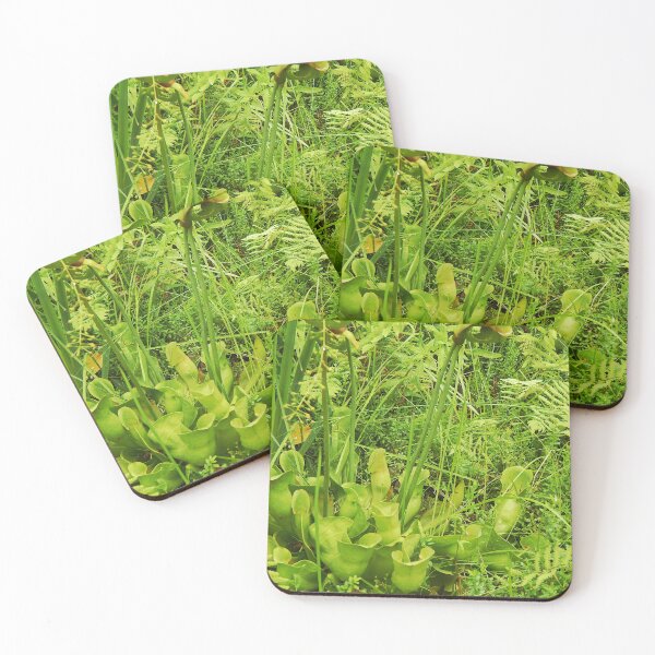 Item preview, Pitcher Plant at Acadia National Park designed and sold by gistinker.