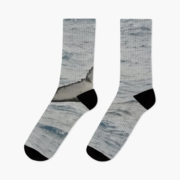 Item preview, Whale tail wale watching designed and sold by Mark Grimsley.