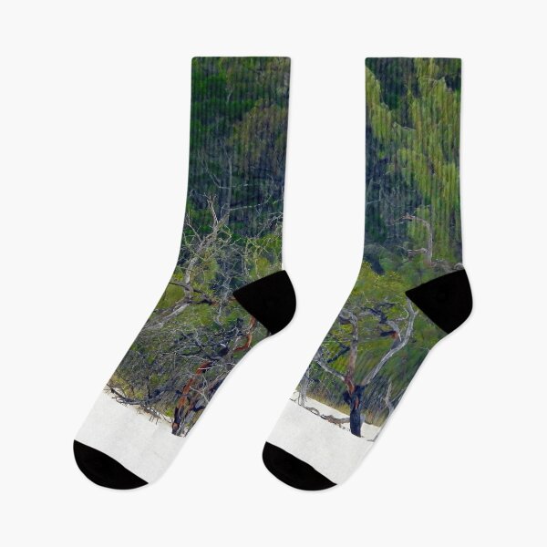 Item preview, Kgari (fraser Island) landscape  designed and sold by Mark Grimsley.