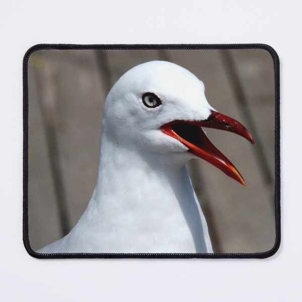 Item preview, Herby the New Zealand Gull designed and sold by Jane Clifton.