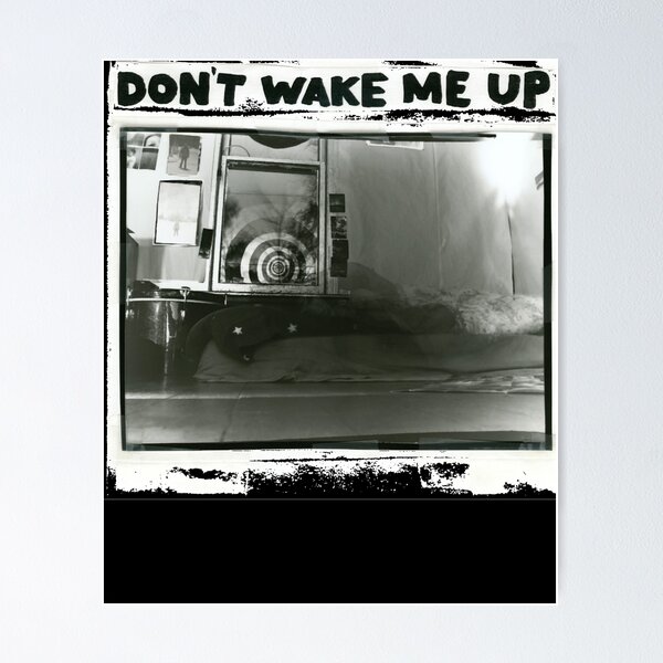 The Microphones \"Don't Wake Me Up\" レコード The Microphones 