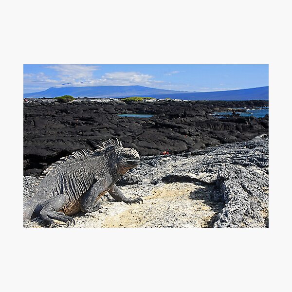 Just as Darwin saw it.. Photographic Print