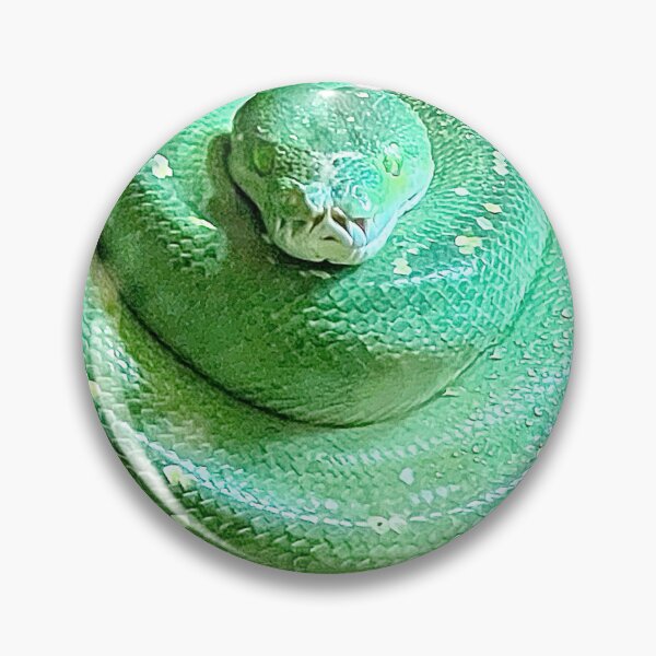 Item preview, Coiling Green Snake Photo Sticker designed and sold by Beardsall-Art.