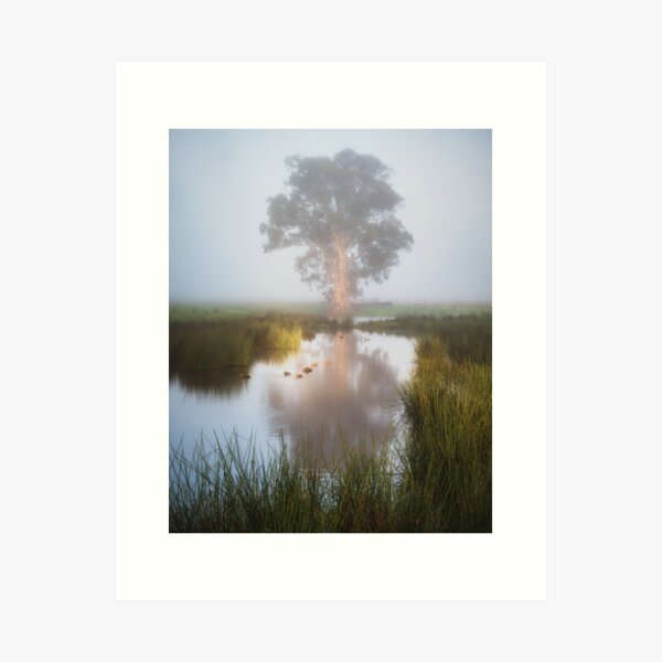 Item preview, Wetlands Fog designed and sold by brightmystic.