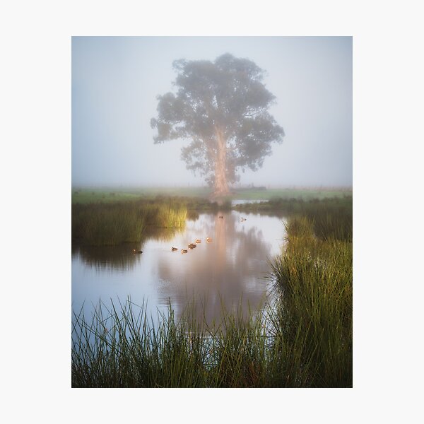 Item preview, Wetlands Fog designed and sold by brightmystic.