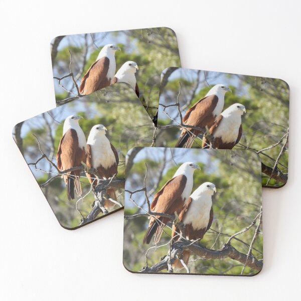 Item preview, Brahiminy Kites sitting side by side  designed and sold by Mark Grimsley.