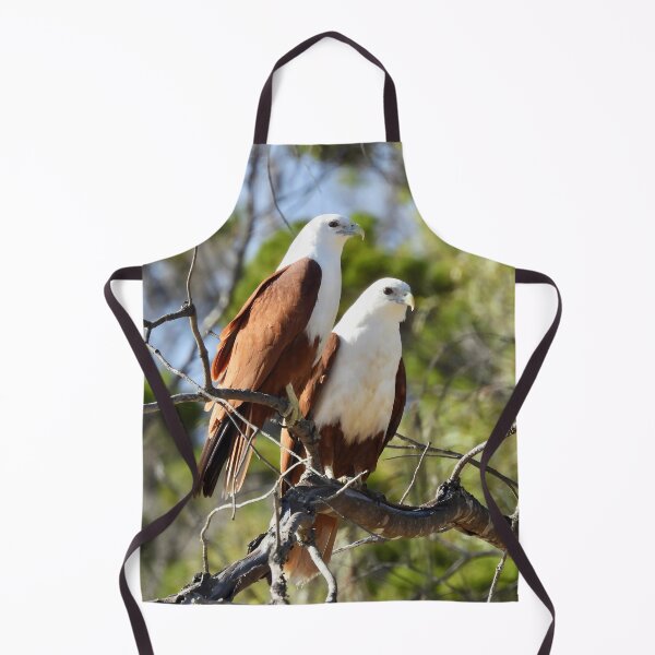 Item preview, Brahiminy Kites sitting side by side designed and sold by Mark Grimsley.