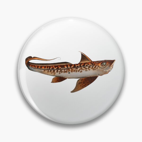Item preview, Chimaera monstrosa, ghost shark, ratfish designed and sold by MrArtistData.