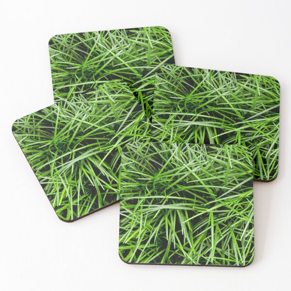 Item preview, The cover crop plant designed and sold by Satakorn.