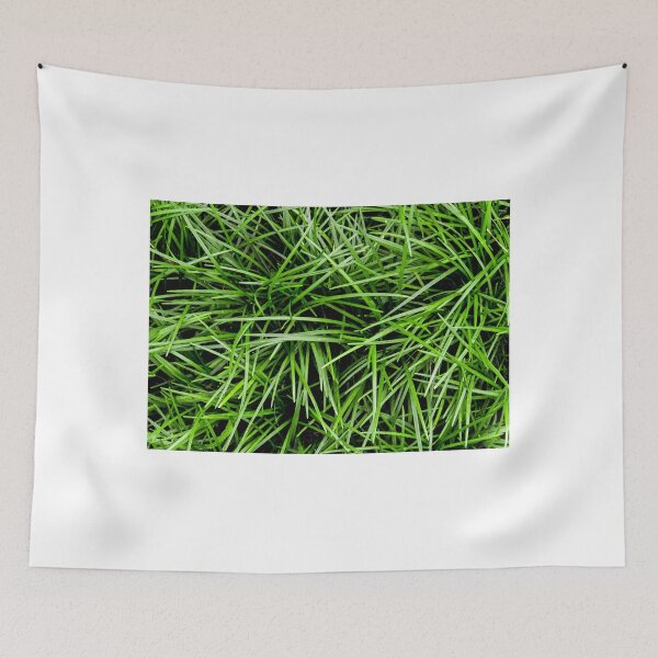 Item preview, The cover crop plant designed and sold by Satakorn.