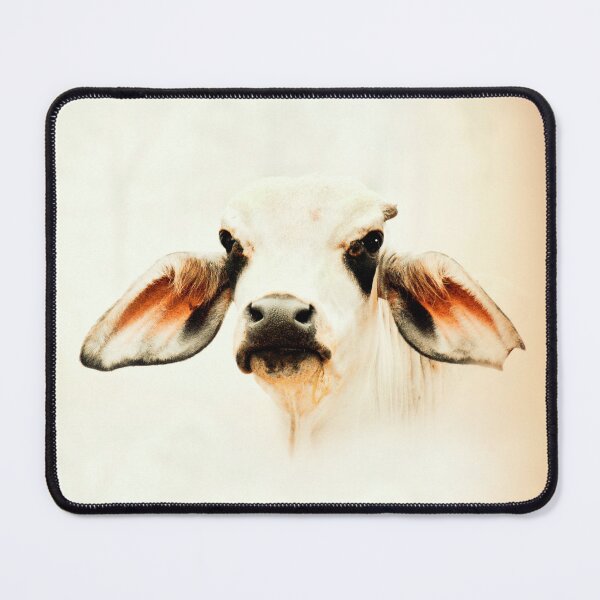 Item preview,   BRAHMAN CALF, FARM ANIMAL, WALL ART AND DESIGNS designed and sold by Barbara Jean Photo Art And Design.