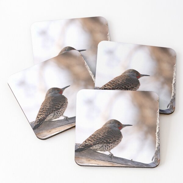 Item preview, Northern Flicker designed and sold by Alyce Taylor.