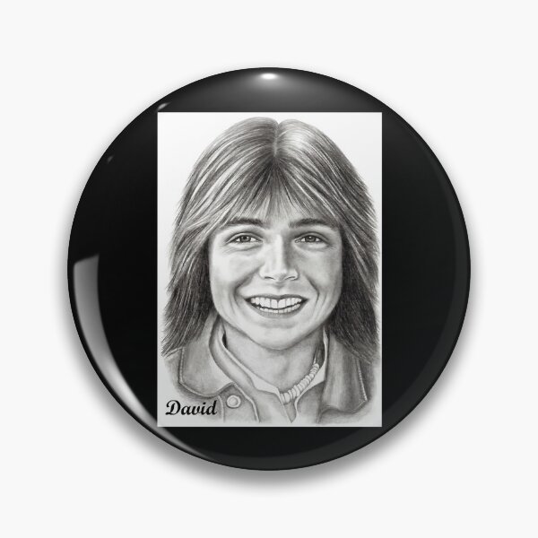 Item preview, David Cassidy Keith of the Partridge Family designed and sold by KiaGriswold33.