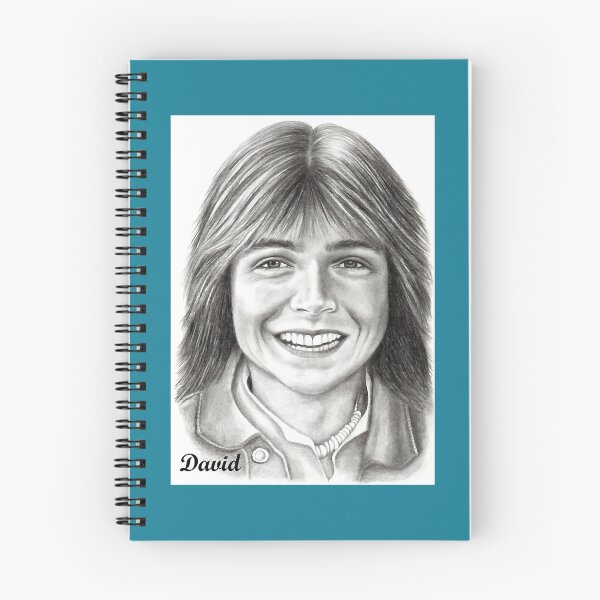 Item preview, David Cassidy Keith of the Partridge Family designed and sold by KiaGriswold33.