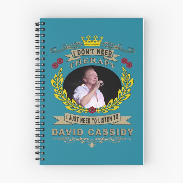 Item preview, DAVID CASSIDY love of my life designed and sold by KiaGriswold33.