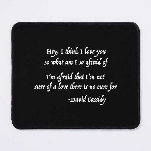 Item preview, Hey, i think i love you David Cassidy designed and sold by KiaGriswold33.