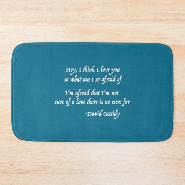 Item preview, Hey, i think i love you David Cassidy designed and sold by KiaGriswold33.