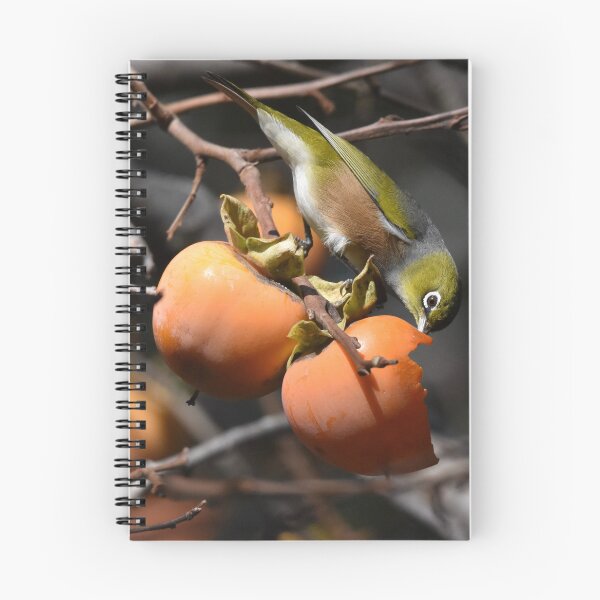 Item preview, Waxeye/Tauhou on persimmons  designed and sold by Helenafox.