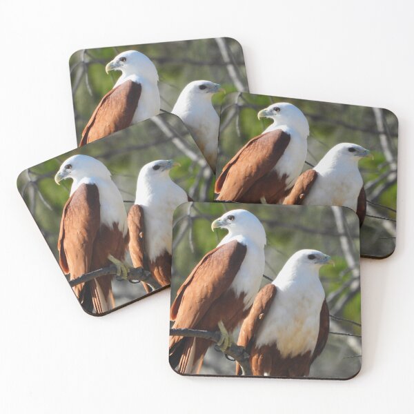 Item preview, Brahminy kite pair looking out for each other   designed and sold by Mark Grimsley.