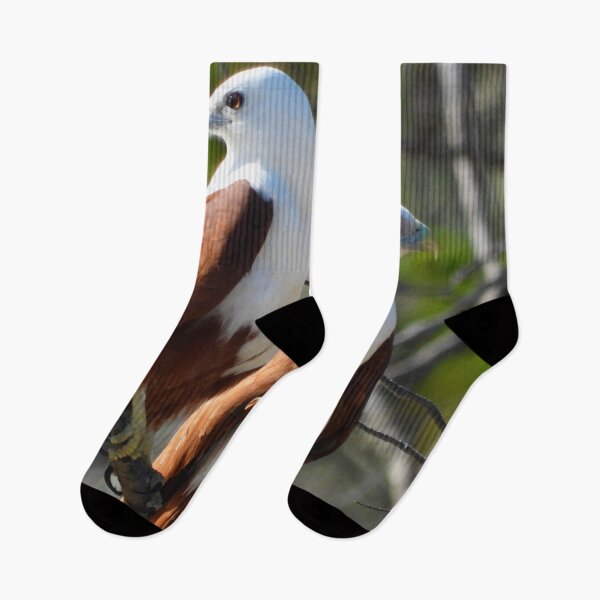 Item preview, Brahminy kite pair looking out for each other   designed and sold by Mark Grimsley.