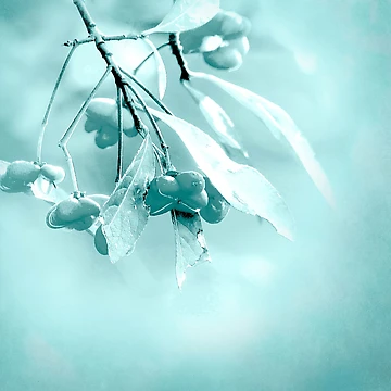 Artwork thumbnail, Luminous Branch by Artskratch