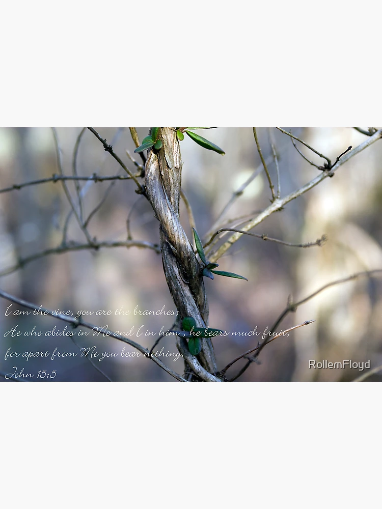 Thumbnail 3 of 3, Poster, Vine designed and sold by RollemFloyd.