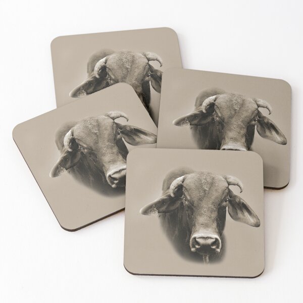 Artikelvorschau, RODEO BULL 666, RODEO KUNST UND DESIGNS entworfen und verkauft von Barbara Jean Photo Art And Design.