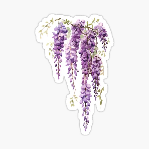 Vista previa del artículo con la obra «Aquarelle Blooms: recorte de glicina púrpura», diseñado y vendido por EmeraldeaArt.