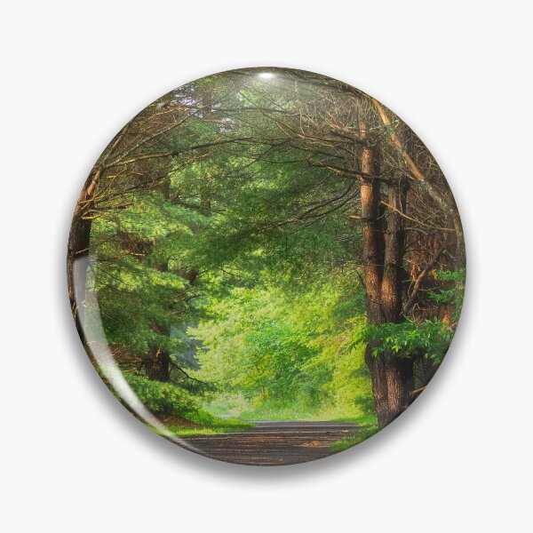 Artikelvorschau, Der Lowlands Trail – Sinnemahoning State Park, PA entworfen und verkauft von Kathy Weaver.