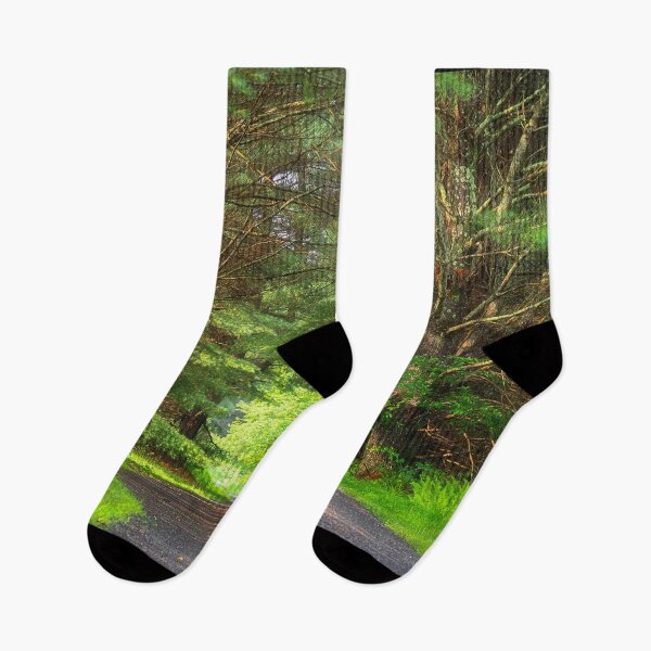 Item preview, The Lowlands Trail - Sinnemahoning State Park, PA designed and sold by Kathy Weaver.