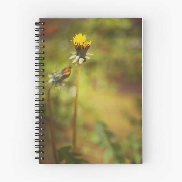 Item preview, The Dandelion Flower designed and sold by GillianTapping.