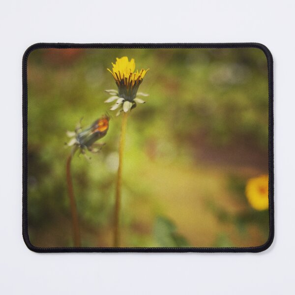 Item preview, The Dandelion Flower designed and sold by GillianTapping.