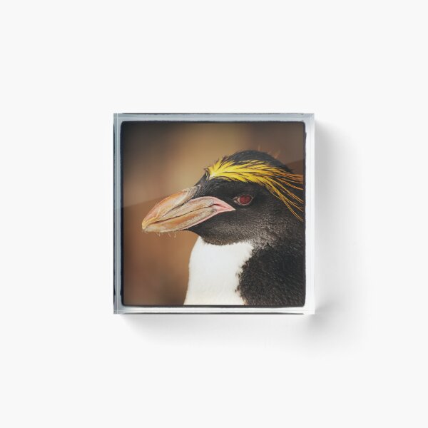 Item preview, The Knowing Look of a Penguin designed and sold by GillianTapping.