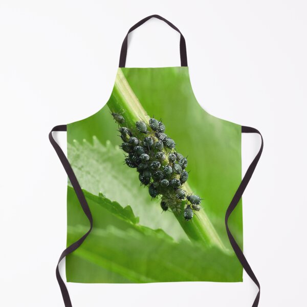 Item preview, Coccidae group designed and sold by Jouko Lehto Photography.