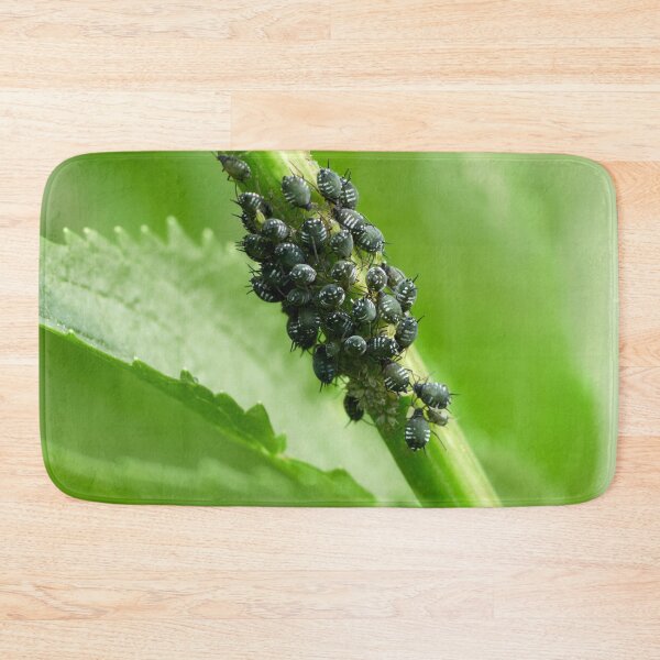 Item preview, Coccidae group designed and sold by Jouko Lehto Photography.