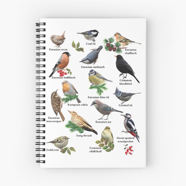 Item preview, 15 amazing bird species designed and sold by Sintija Valucka.