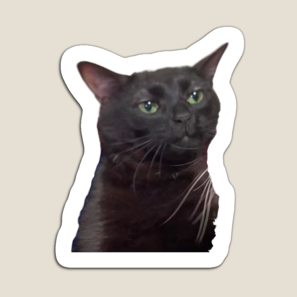 Dissociating Cat Meme Sticker | Sticker