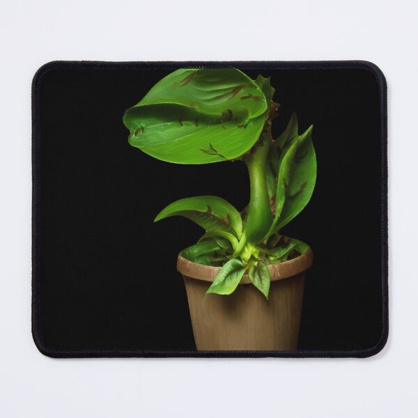 Item preview, Killer plant designed and sold by Glenbobagins.