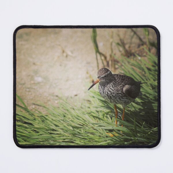 Item preview, Common Redshank designed and sold by GillianTapping.