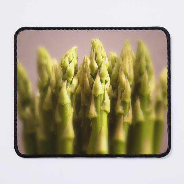 Item preview, Bunch of asparagus spears on grey background designed and sold by bailey-cooper.