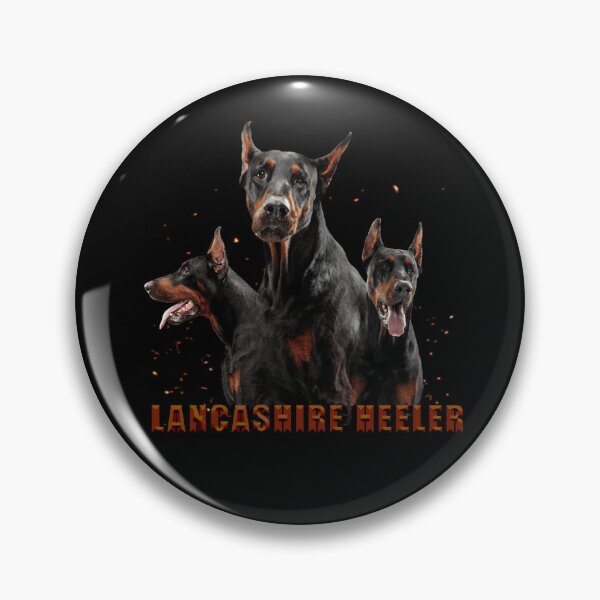 Item preview, lancashire heeler designed and sold by GMH7.